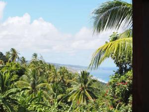 Gallery image of Little Diamond, Wooden Jungle House. Bathsheba. in Saint Joseph