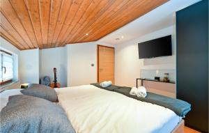 a bedroom with a large bed and a flat screen tv at Stunning Home In Donja Poljana in Donja Poljana