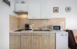 Kuchyňa alebo kuchynka v ubytovaní Cozy Apartment In Labin With Sauna