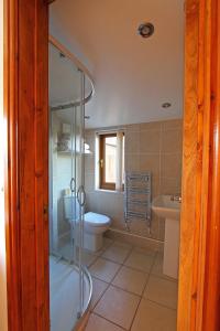 a bathroom with a shower and a toilet and a sink at Sound of the River in Talgarth