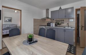 Η κουζίνα ή μικρή κουζίνα στο 3 Bedroom Stunning Home In Otocac