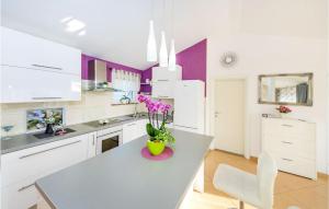 Kuchyň nebo kuchyňský kout v ubytování Pet Friendly Home In Zaton