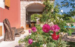 Ogród w obiekcie Holiday Home Mio Persan Cr
