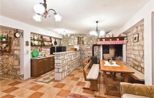 Kuchyňa alebo kuchynka v ubytovaní Holiday Home Stifanici Iii