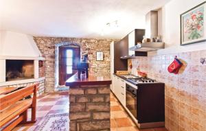 Kuchyňa alebo kuchynka v ubytovaní Holiday Home Stifanici Iii