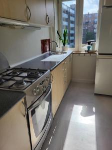 Kuchyň nebo kuchyňský kout v ubytování Apartment Sir Toby