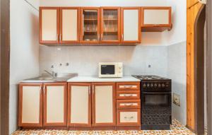 Kuchyňa alebo kuchynka v ubytovaní Apartment Vocarska Ii