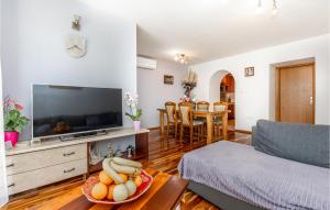 TV a/nebo společenská místnost v ubytování Cozy Home In Seget Donji