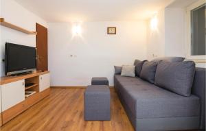 salon z kanapą i telewizorem z płaskim ekranem w obiekcie 3 Bedroom Beautiful Home In Veli Iz w mieście Veli Iž