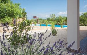 Bazén v ubytovaní Two-Bedroom Holiday Home In Radonic alebo v jeho blízkosti