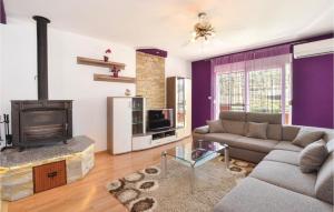 Una sala de estar con un sofá y una chimenea. en Four-Bedroom Apartment In Srinjine, en Srinjine