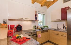 Η κουζίνα ή μικρή κουζίνα στο Gorgeous Home In Rezanci With Jacuzzi