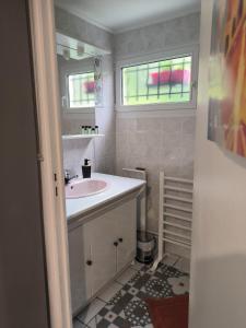 a bathroom with a sink and a window at Gîte de la Mardelle in Viarmes