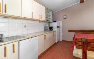 Kuchyňa alebo kuchynka v ubytovaní 2 Bedroom Lovely Apartment In Jadranovo