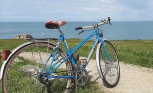 Una bicicleta azul estacionada en un camino cerca del océano en Maison 100m de la plage, en Trégunc