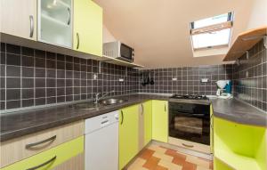 Kuchyň nebo kuchyňský kout v ubytování Lovely Home In Gabonjin With Kitchen