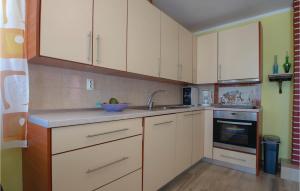 Kuchyň nebo kuchyňský kout v ubytování Holiday Home Pelegrin 58
