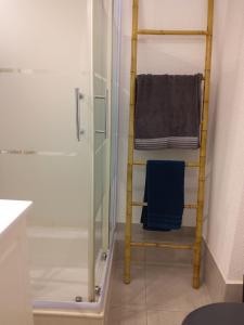 a ladder in a bathroom with a shower and a towel at Studio tout confort in Labergement-Sainte-Marie