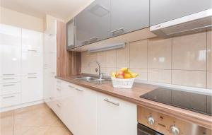 Kuchyň nebo kuchyňský kout v ubytování 5 Bedroom Cozy Home In Biograd Na Moru
