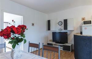 TV a/nebo společenská místnost v ubytování Two-Bedroom Apartment In Vodnjan