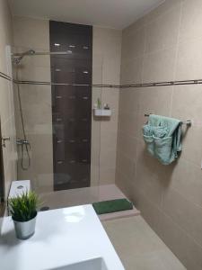 Koupelna v ubytování Apartamento Vega Arguineguin + 45 fotografií