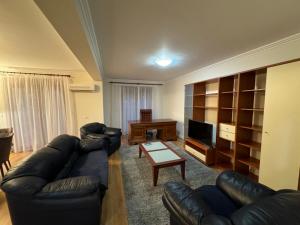 a living room with a leather couch and a television at Apartment in the Villa Northern Dreams #2 PARKING INCLUDED IN PRICE in Timişoara