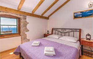 Кровать или кровати в номере Amazing Home In Lubenice With Wifi