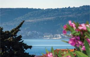 Príroda v okolí apartmánu + 13 fotografií
