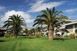 zwei Palmen in einem Rasen vor einem Gebäude in der Unterkunft Residence Leonardo sul mare in Silvi Marina