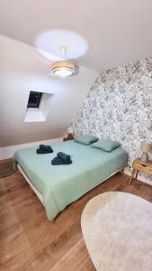 una camera con letto verde e soffitto di Appartement T2 proche gare et centre ville a Châteauroux