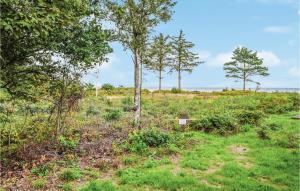 ein Grasfeld mit Bäumen im Hintergrund in der Unterkunft Holiday Home Kystagervej Odder Iv in Odder
