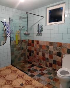 a bathroom with a shower and a toilet at sulkhanihouse in Batumi +34 photos