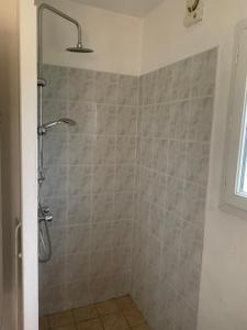トゥアールにあるune chambre à la campagneのグレータイルのバスルーム(シャワー付)