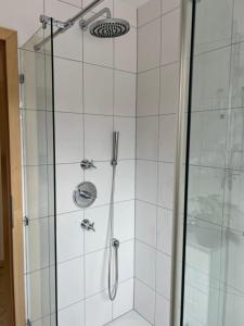 a shower with a glass door at Lichtdurchflutetes Appartement im zentralen Ruhrgebiet in Bottrop