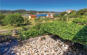 an overhead view of a bunch of vines at Lovely Home In Supetarska Draga in Supetarska Draga