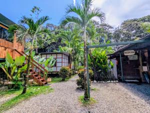 ウビタにあるArboura Eco Cabinsのヤシの木が茂る庭園