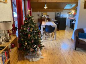 Kuchyňa alebo kuchynka v ubytovaní Appartement cosy avec lits faits à l'arrivée