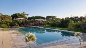una piscina en un patio con sombrillas en VillaGì, en Notteri