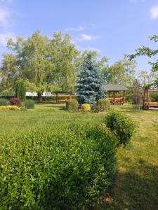 Billede fra billedgalleriet på Casa de vacanta ROUA DIMINETII i Beclean + 59 billeder