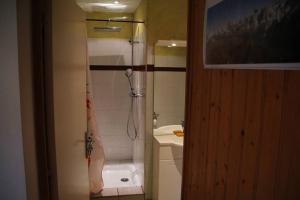 un bagno con doccia, WC e lavandino di Appartement T2 - Centre Lélex a Lélex Altre 13 foto
