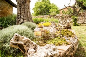Zahrada ubytování Agriturismo Il Caggio