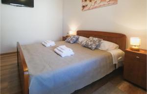 Katil atau katil-katil dalam bilik di 2 Bedroom Beautiful Home In Popovici