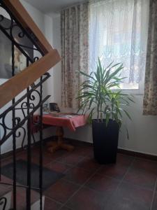 Fotografia z galérie ubytovania APARTHOTEL Apartamenty KORONA noclegi przy Termach Cieplickich 10proc rabatu do TERM Jelenia Góra Cieplice v destinácii Jelenia Góra