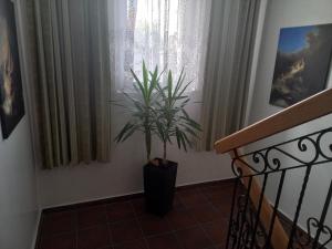 Fotografia z galérie ubytovania APARTHOTEL Apartamenty KORONA noclegi przy Termach Cieplickich 10proc rabatu do TERM Jelenia Góra Cieplice v destinácii Jelenia Góra