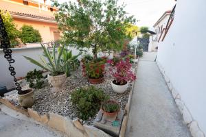 Zahrada ubytování B&B GabrielMary'