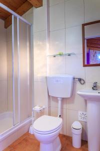 a bathroom with a toilet and a shower and a sink at Casas do Zé in Odeceixe