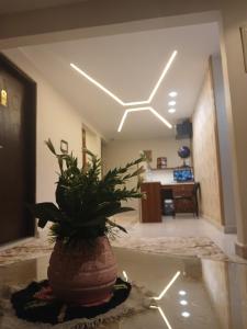 Imagem da galeria de New pyramids way em Cairo