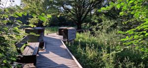 a wooden boardwalk in a park with benches on it at Agréable chambre in Prévessin