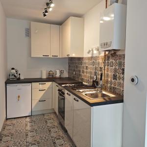 Η κουζίνα ή μικρή κουζίνα στο Apartament Chrobrego