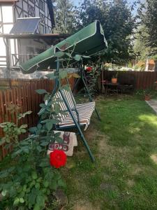 a telescope in a yard next to a red rose at Casa Stana de Vale in Sovata